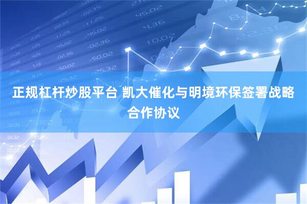 正规杠杆炒股平台 凯大催化与明境环保签署战略合作协议