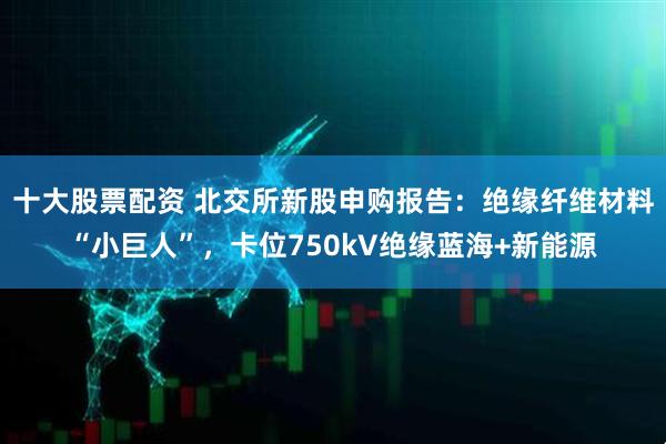 十大股票配资 北交所新股申购报告:绝缘纤维材料“小巨人”,卡位750kV绝缘蓝海+新能源
