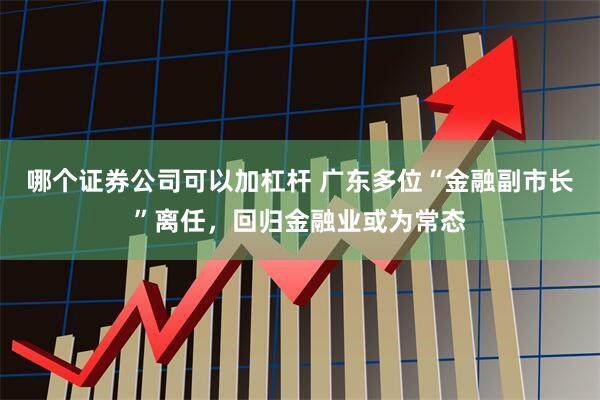 哪个证券公司可以加杠杆 广东多位“金融副市长”离任，回归金融业或为常态