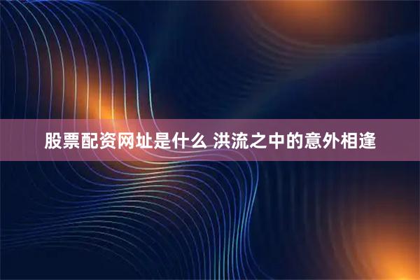 股票配资网址是什么 洪流之中的意外相逢